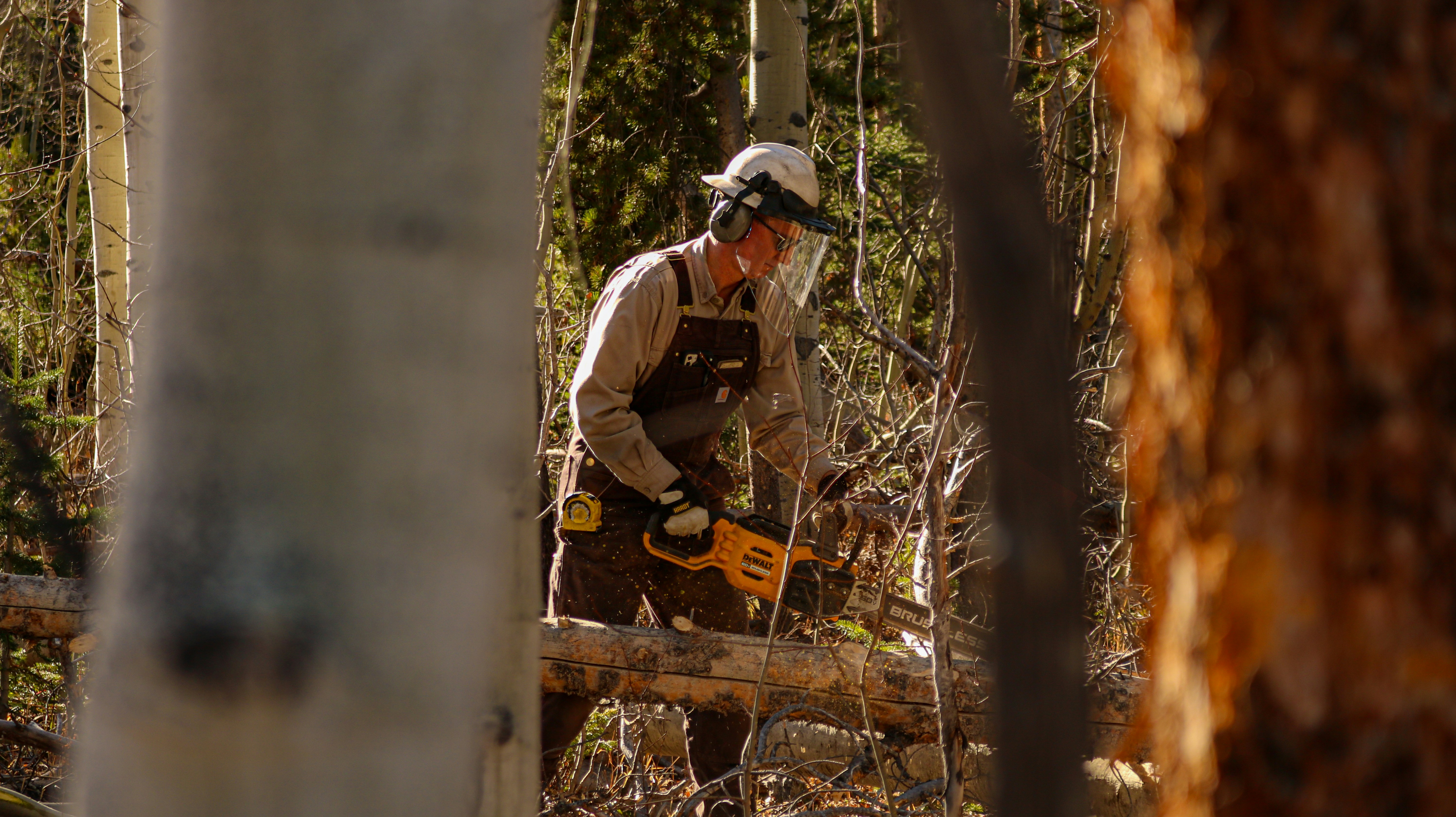 Stump Grinding